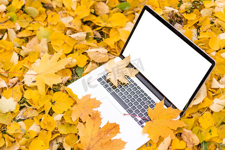 立秋广告摄影照片_露台上的空白屏幕笔记本电脑，拥有美丽的秋色红黄枫叶背景，用于展示展示、营销、广告概念的复制空间