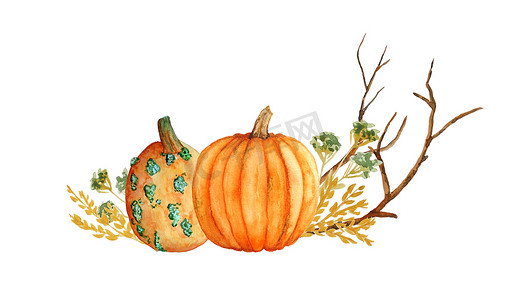 水彩手绘橙黄色胡桃南瓜、木林叶子和棕色树枝的构图插图。