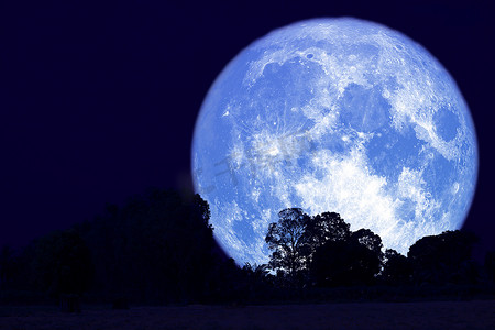 夜空中的满月月亮回到剪影森林