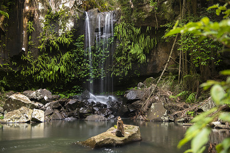 铃鼓山柯蒂斯瀑布 (Curtis Falls)