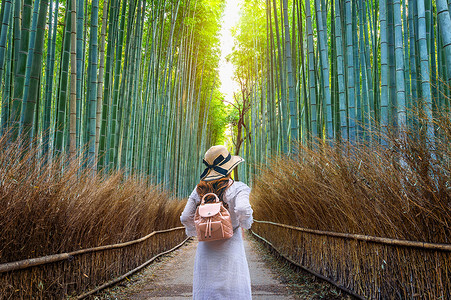 日本京都竹林中散步的妇女。