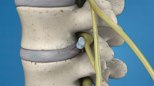 蓝色背景上脊髓的 3D 插图。