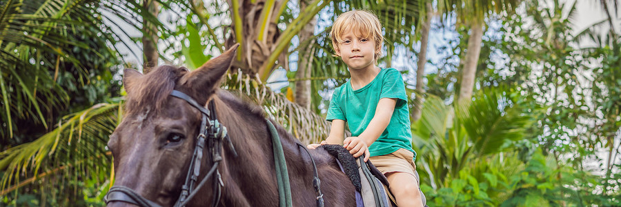男孩骑马，在马背上进行练习 BANNER，LONG FORMAT