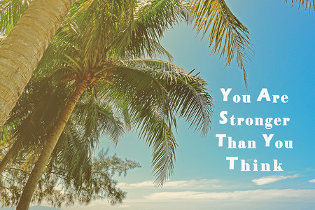关于蓝天棕榈树图像的励志名言。