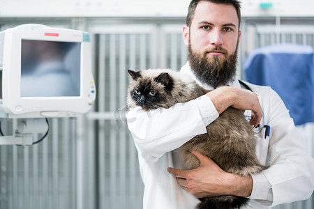兽医宠物医生在他的动物诊所里抱着猫病人