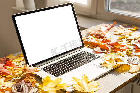 立秋广告摄影照片_露台上的空白屏幕笔记本电脑，配有美丽的秋季彩色红黄枫叶背景、展示演示、营销、广告概念的复制空间