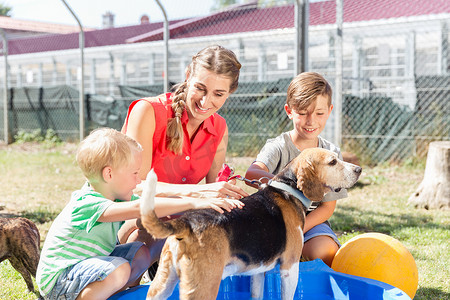 宠物的家庭摄影照片_动物收容所池中的家庭洗狗照顾