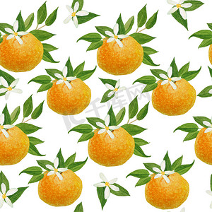 水彩手绘无缝图案插图明亮的橙色橘子橘子柑橘类水果与充满活力的绿叶花朵。