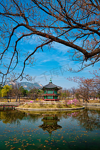 Hyangwonjeong 亭，景福宫，首尔，韩国