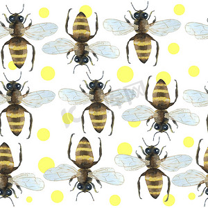 金色手绘灯笼摄影照片_水彩无缝手绘图案与大黄蜂、自然天然昆虫、夏日氛围现代设计。