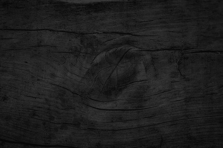 桌面木纹背景摄影照片_树皮纹理，木纹背景