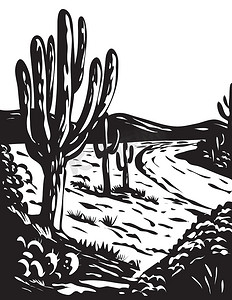 WPA Art Saguaro 国家公园在美国亚利桑那州皮马县灰度黑白