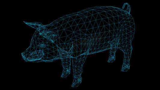 猪的孤立低聚图形设计