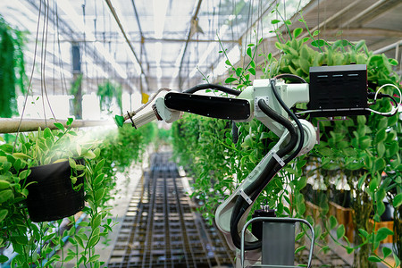自动农业技术机器人手臂浇灌植物树