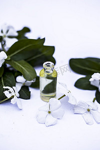 白色花朵、叶子和必需的有机精华，装在一个透明的小玻璃瓶中，与白色隔离开来。