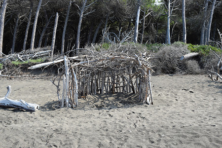 海边的松树和松林海滩上的木结构建筑，Marina di Cecina 的海滩和大海，Maremma，托斯卡纳，意大利，欧洲