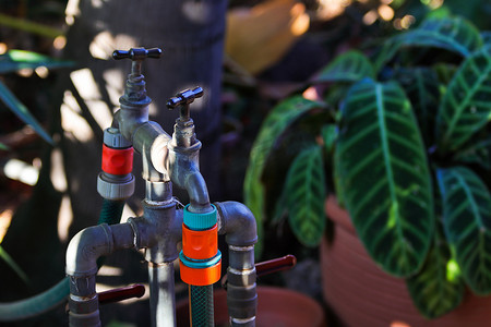 郁郁葱葱的花园中带软管的洒水灌溉水龙头