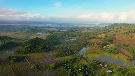 水稻种植园、梯田、农民农田的鸟瞰图。