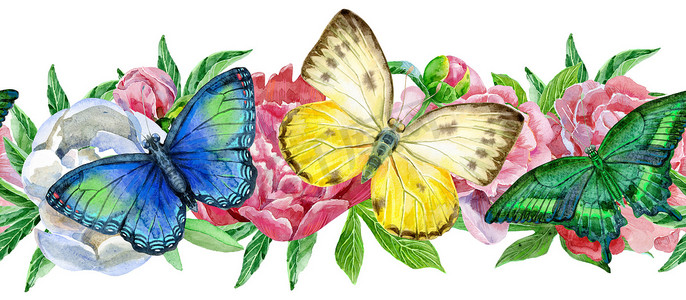 无缝花卉边框与五颜六色的蝴蝶和白色背景上的牡丹