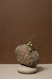 抽象的自然场景，由石头和干树枝组成。