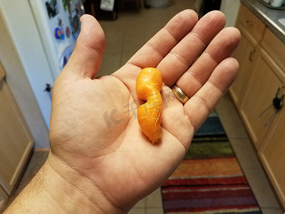 在厨房里拿着看起来很奇怪的胡萝卜
