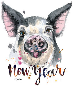 猪猪新年摄影照片_猪的水彩肖像与题词新年