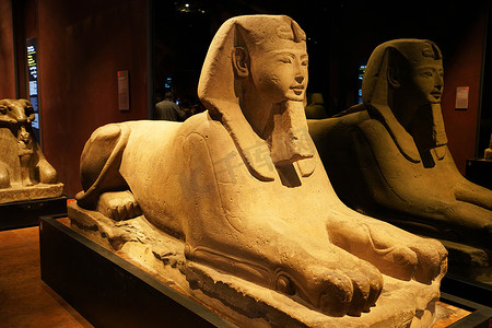 意大利都灵- 2021年8月19日：意大利都灵埃及博物馆的埃及狮身人面像
