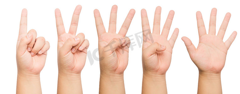 举手的摄影照片_人们用手指从正面和背面数1到5
