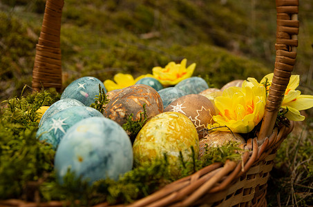复活节彩绘鸡蛋与星星和水仙花