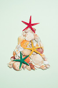 海星和贝壳以圣诞树的形式
