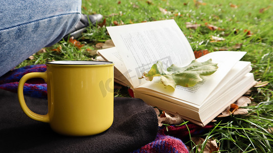 在温暖的一天，在绿色草地上，一个女孩坐在秋天森林的毯子上，看书，喝着城市公园黄色杯子里的热饮。