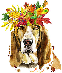 带秋叶花环的巴塞特猎犬水彩肖像