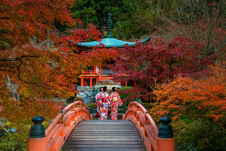 ji摄影照片_秋天，京都有五颜六色的枫树的 Daigo-ji 寺