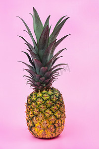 粉色菠萝摄影照片_粉红色孤立背景上的大菠萝。