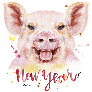 猪的水彩肖像与题词新年