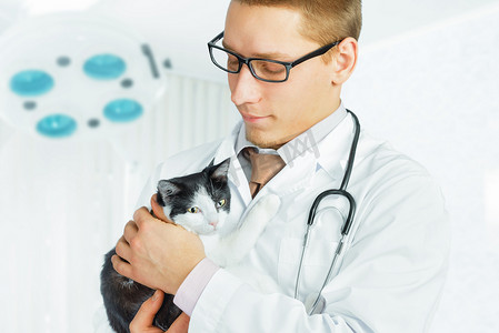 兽医在医院抱着可爱的猫