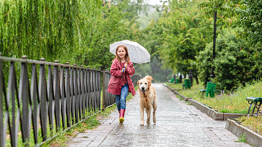 小女孩带着狗在雨中行走
