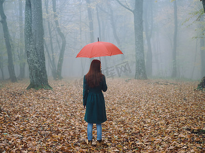 秋雾中带红伞的女人黄叶清新空气