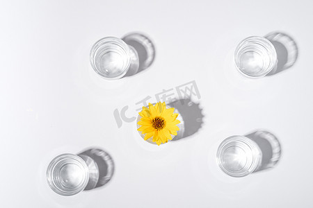 锡纸黄花鱼摄影照片_白色玻璃中带黄花的新鲜清水饮料