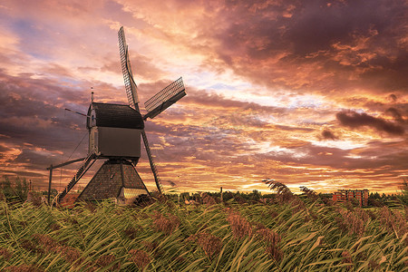 荷兰语摄影照片_强风吹过的野草栅栏上方的荷兰风车