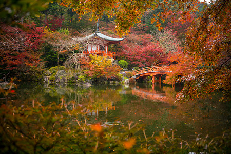 秋天，京都有五颜六色的枫树的 Daigo-ji 寺
