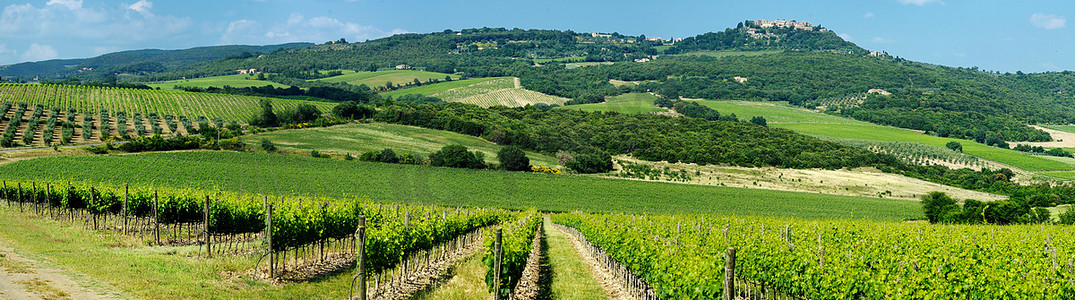 意大利葡萄酒产区全景