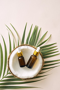 瓶装椰子油，罐装坚果和果肉，绿色棕​​榈叶背景。
