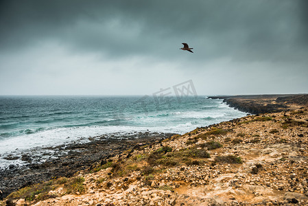 阴沉天气摄影照片_阴沉天气下兰萨罗特岛的海岸线