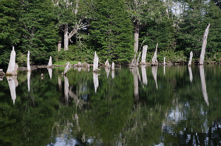 孔吉利奥国家公园的卡普特伦泻湖。