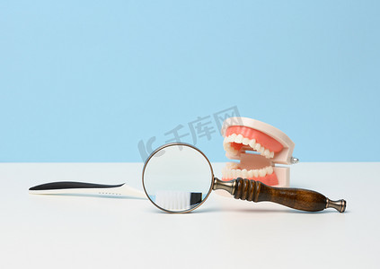 白色手柄放大镜摄影照片_放大镜、牙刷和人下巴的塑料模型，牙齿洁白均匀，白色桌子上放着医疗检查镜。