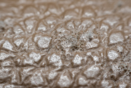 曲霉菌摄影照片_皮革表皮上生长的霉菌孢子