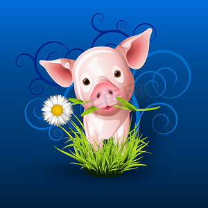 蓝色草地上的粉红小猪