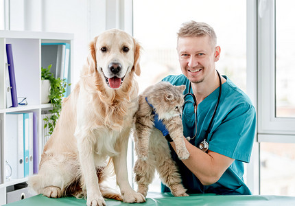 狗和猫摄影照片_在兽医旁边的狗和猫