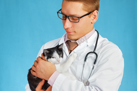 兽医抱着一只可爱的猫